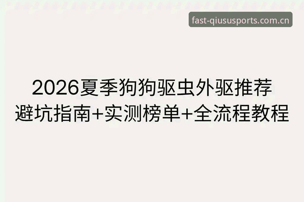球速平台深度评测:从新手到老手的安卓下载全流程指南